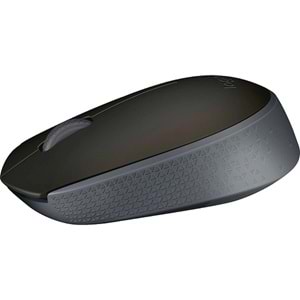 Logitech M171 Nano Alıcılı Kablosuz Siyah Mouse