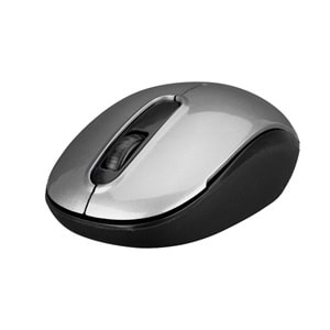 Everest SMW-666 Usb Gümüş Optik Kablosuz Mouse