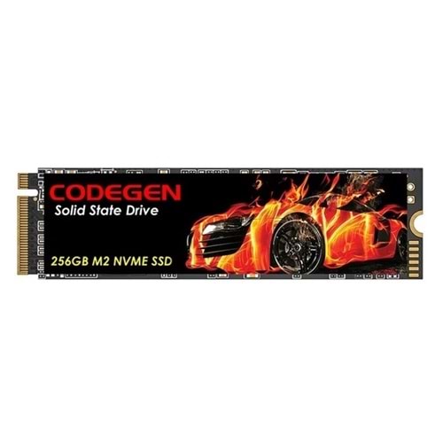 Codegen CDG-256GB-NVME M.2 256GB (2100/1400MB/s) PCIe + NVMe SSD Disk (22x80MM)