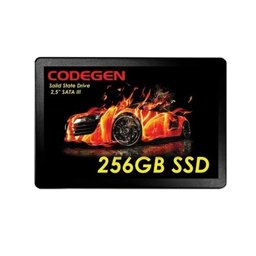 Codegen CDG-256GB-SSD25 2.5 256GB (500/450MB/s) SATA SSD Disk
